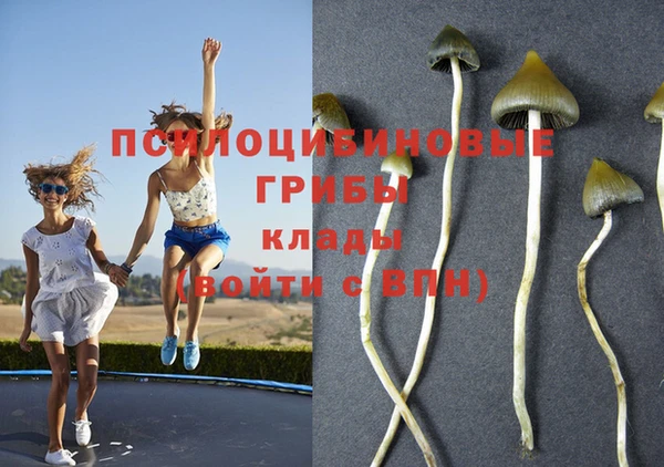 скорость Богданович