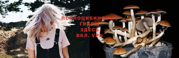 скорость Богородск