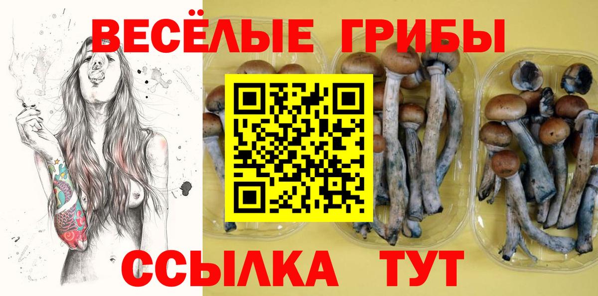 Псилоцибиновые грибы Psilocybine cubensis Гай