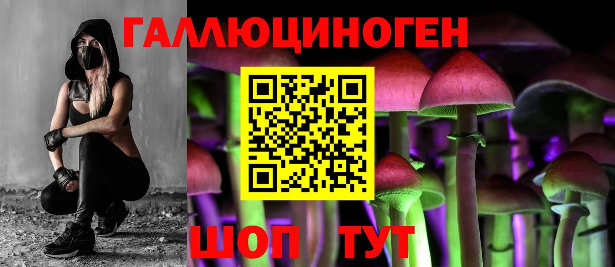 Галлюциногенные грибы GOLDEN TEACHER  Вход с VPN  Галлюциногенные грибы мицелий  Гай 
