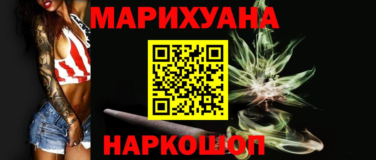 Бошки Шишки планчик Гай